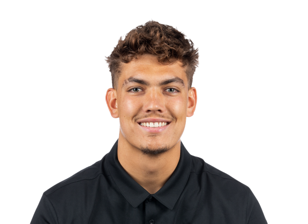 avatar for Mitch Leigber