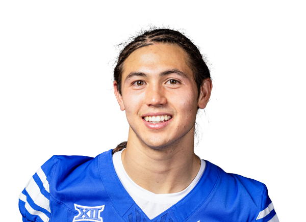 avatar for Tiger Bachmeier