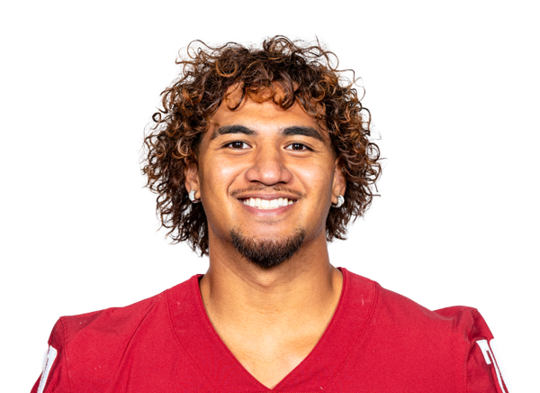 avatar for Leo Pulalasi