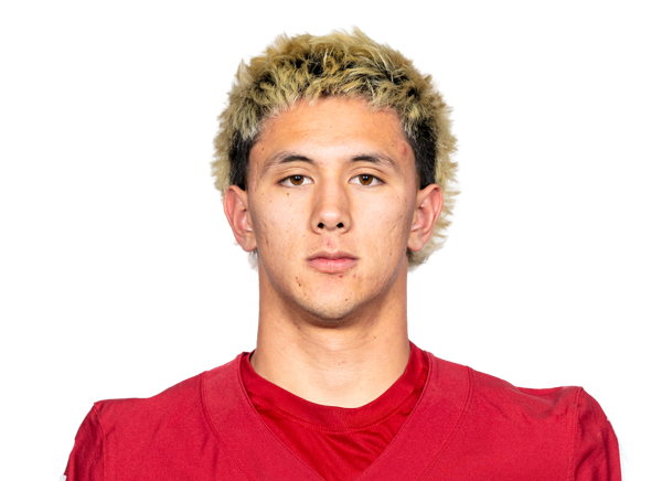 avatar for Kai Rapolla