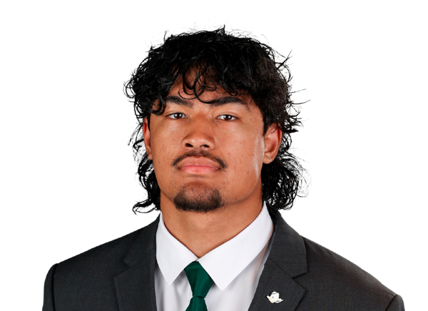 avatar for Roger Saleapaga