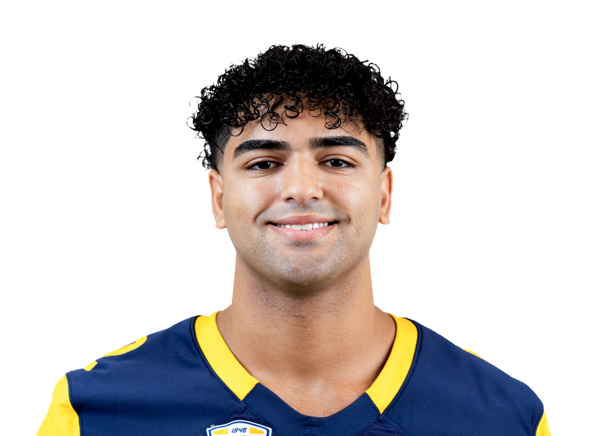 avatar for Sayed Abuhamdeh