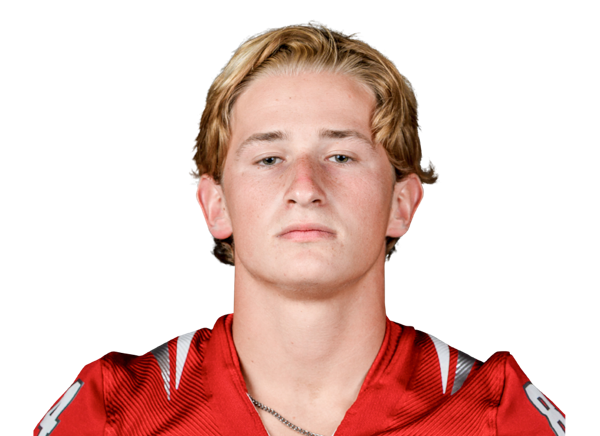 avatar for Gerard Delcarpine