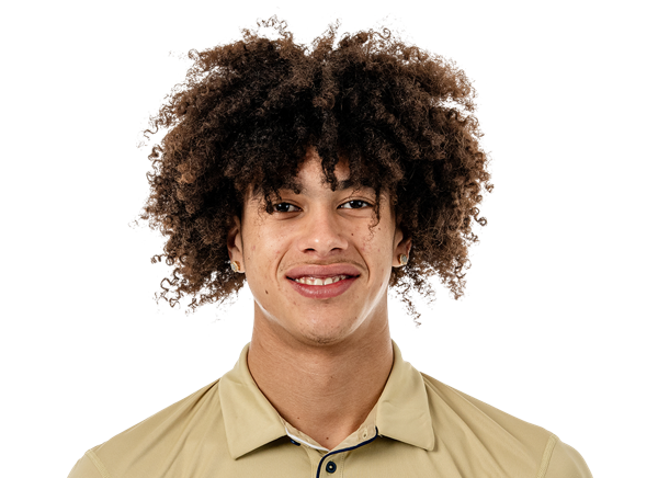 avatar for Naithan George