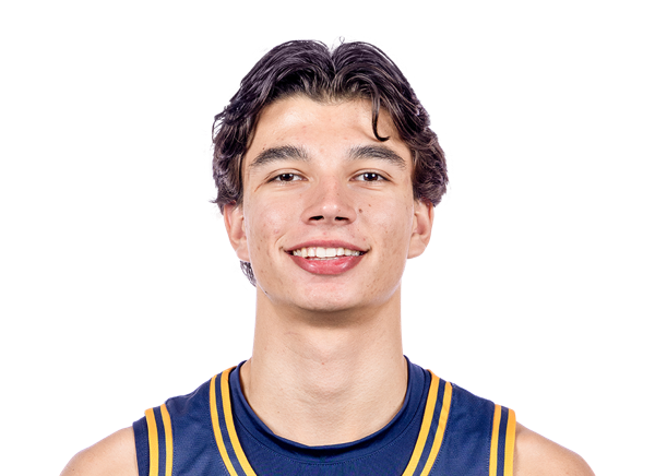 avatar for Andrej Stojakovic