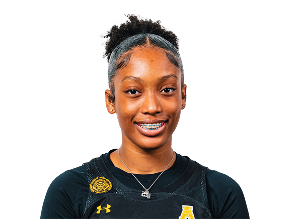 avatar for Salese Blow