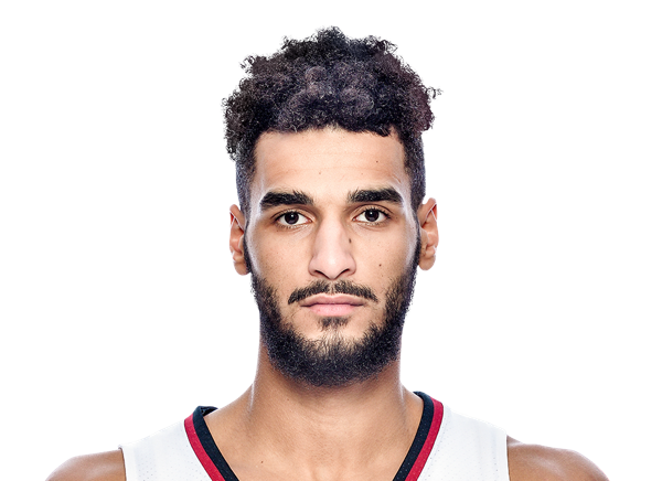 avatar for Malek Abdelgowad