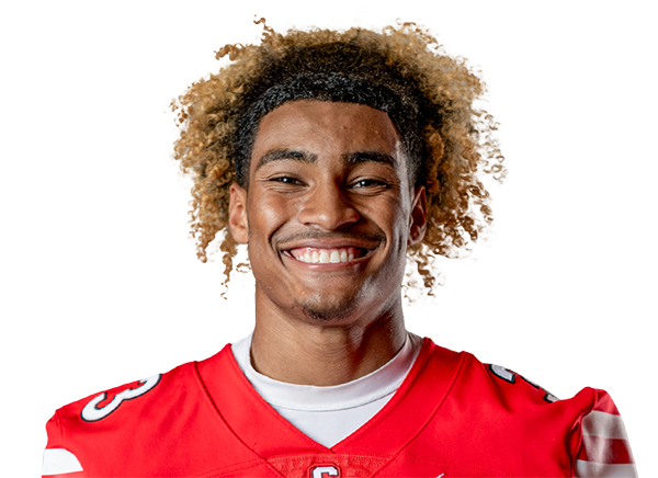 avatar for Ricardo Lagares Jr.