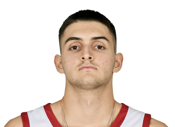 avatar for Dimitrije Vukicevic