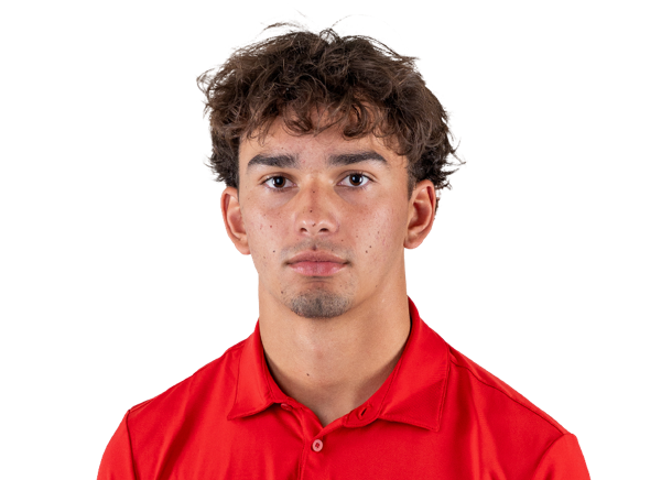 avatar for Niko Baumgartner