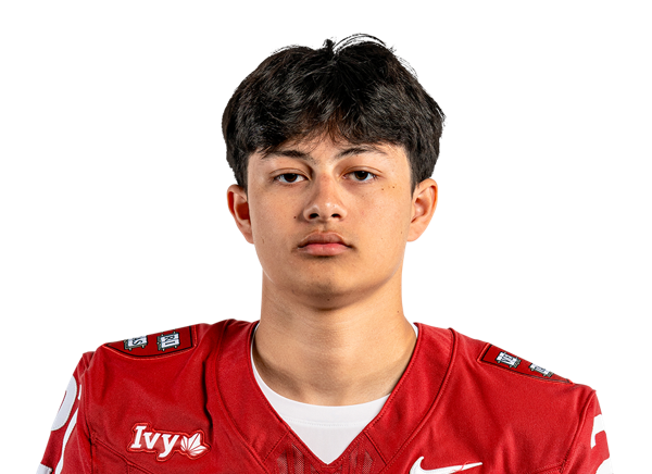 avatar for Rohan Dalal